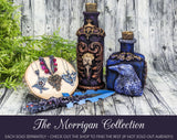 Raven Skull Apothecary Jar