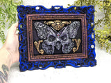 Deaths-Head Moth Framed Wall Art