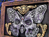Deaths-Head Moth Framed Wall Art