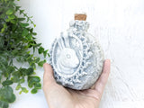 Rabbit Apothecary Jar (No. 2)