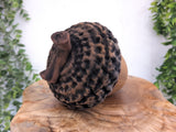 Giant Acorn Box