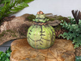 Druid Leaf Potion Bottle