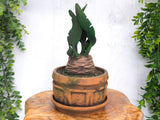 Mandrake Plant Pot Box