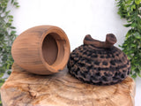Giant Acorn Box