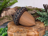 Giant Acorn Box