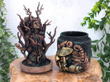 Dryad Apothecary Jar