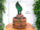 Mandrake Plant Pot Box