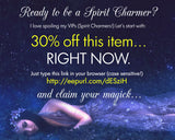 Mini Mushroom Apothecary Jar - Handcrafted Pagan Witchy Decor Potion Bottle