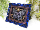 Deaths-Head Moth Framed Wall Art