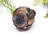 Scorpio Apothecary Jar