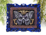 Deaths-Head Moth Framed Wall Art
