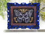 Deaths-Head Moth Framed Wall Art