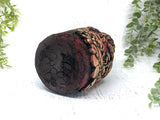 Autumn Mushroom Apothecary Jar