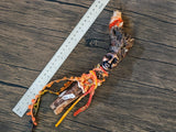 Branch Spirit Doll (One of a Kind, No. 2)