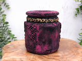 Deaths-Head Moth Apothecary Jar (No. 3)