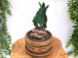 Mandrake Plant Pot Box