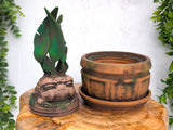 Mandrake Plant Pot Box