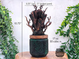 Dryad Apothecary Jar
